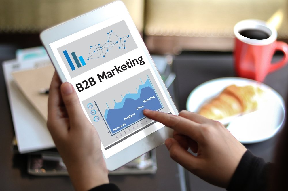 Market Establishment & B2B Network